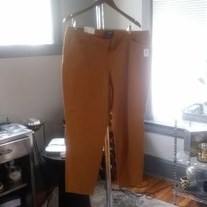 NWT Old Navy Mustard Pixie Pants 18